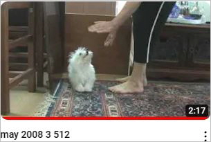 Capture15