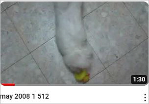Capture17