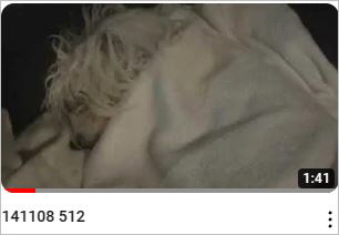 Capture20