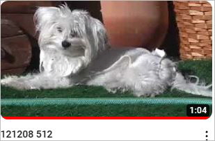 Capture22
