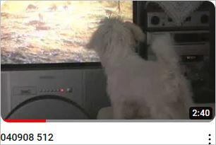 Capture23