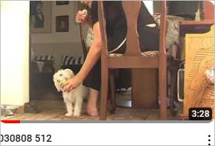 Capture24