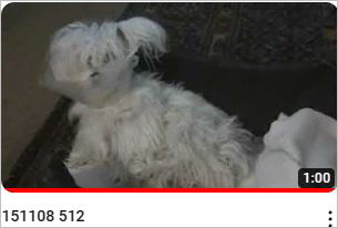 Capture26