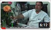 Capture6